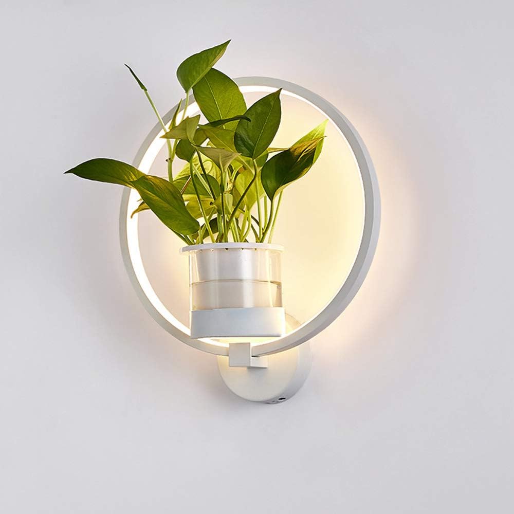 LuminaireSconce - Plant Wall Lamp