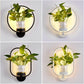 LuminaireSconce - Plant Wall Lamp