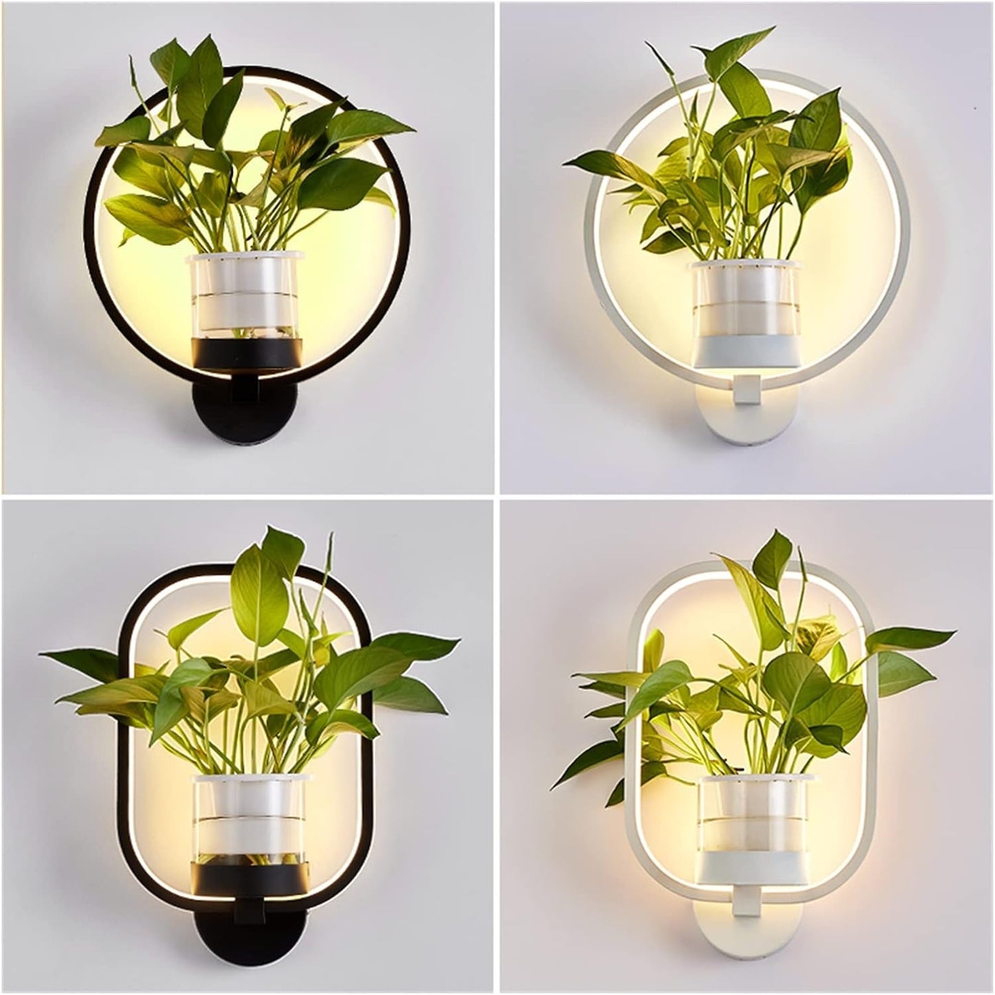LuminaireSconce - Plant Wall Lamp