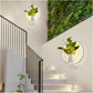 LuminaireSconce - Plant Wall Lamp