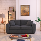 Modern Grey Minimalist 2-Seater Sofa