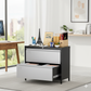 2-Drawer UrbanBlend Metal Filing Cabinet